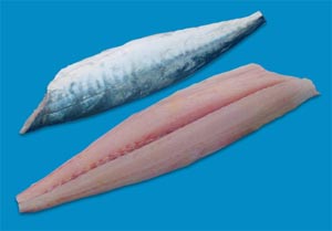 Mackerel Strip.