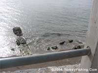 Fishing from launch ramp.