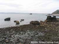 Meadfoot beach at low tide