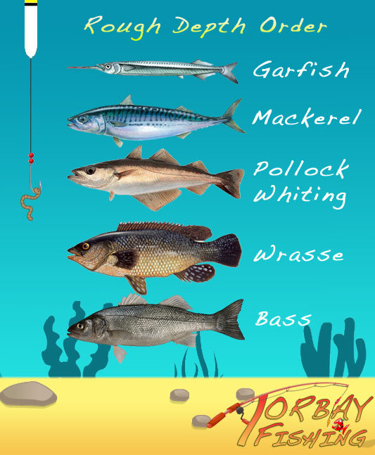 Pier fishing depths.